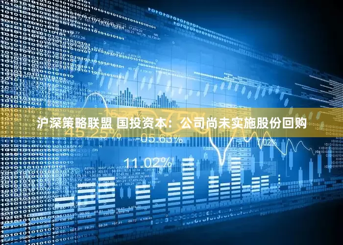 沪深策略联盟 国投资本：公司尚未实施股份回购