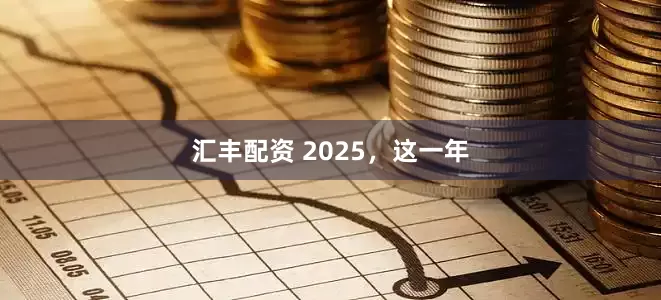 汇丰配资 2025，这一年