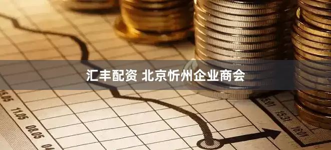 汇丰配资 北京忻州企业商会