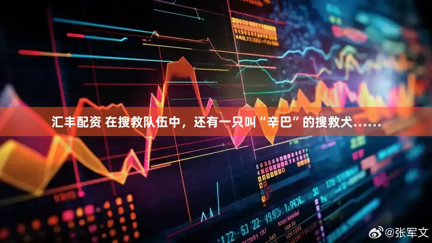 汇丰配资 在搜救队伍中，还有一只叫“辛巴”的搜救犬……